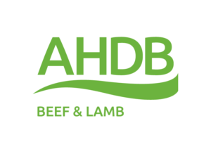 AHDB Beef & Lamb