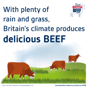 With plenty of rain and grass, Britain's climate produces delicious beef