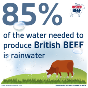 85% of the water needed to produce British beef is rainwater
